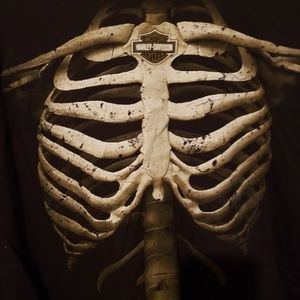 L/S mens Harley Davidson